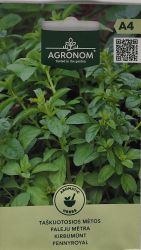 Pennyroyal Herb Seeds